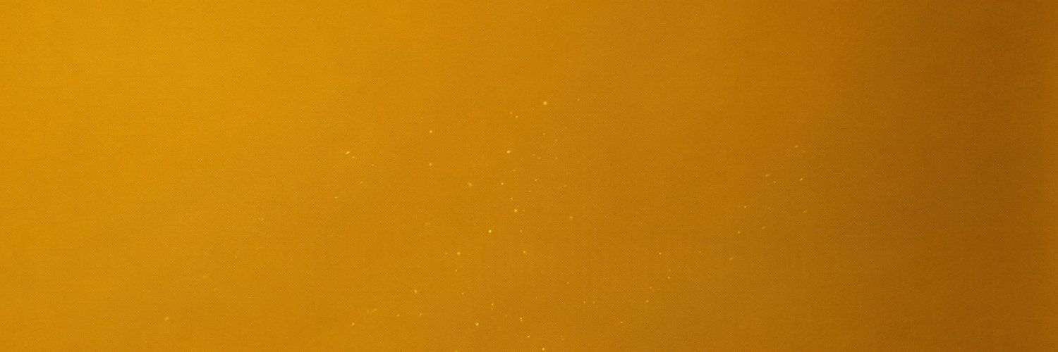 Bulliever Shinobi banner