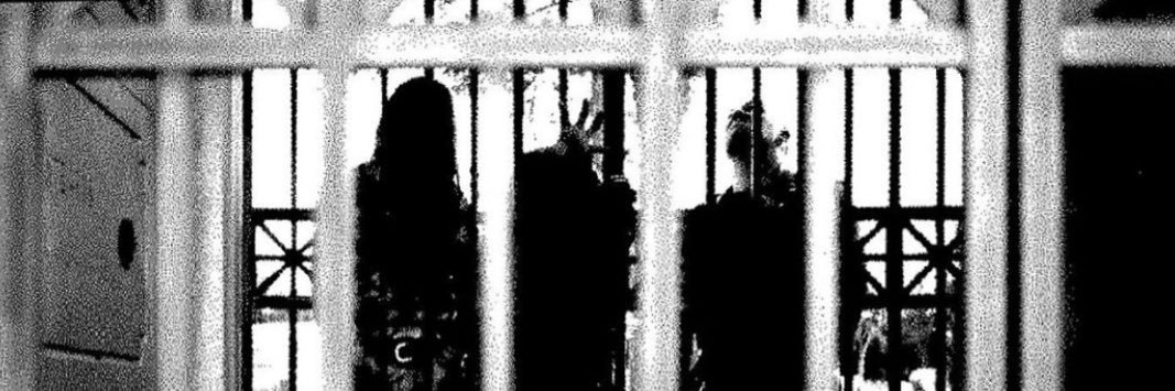 Of Feather and Bone banner