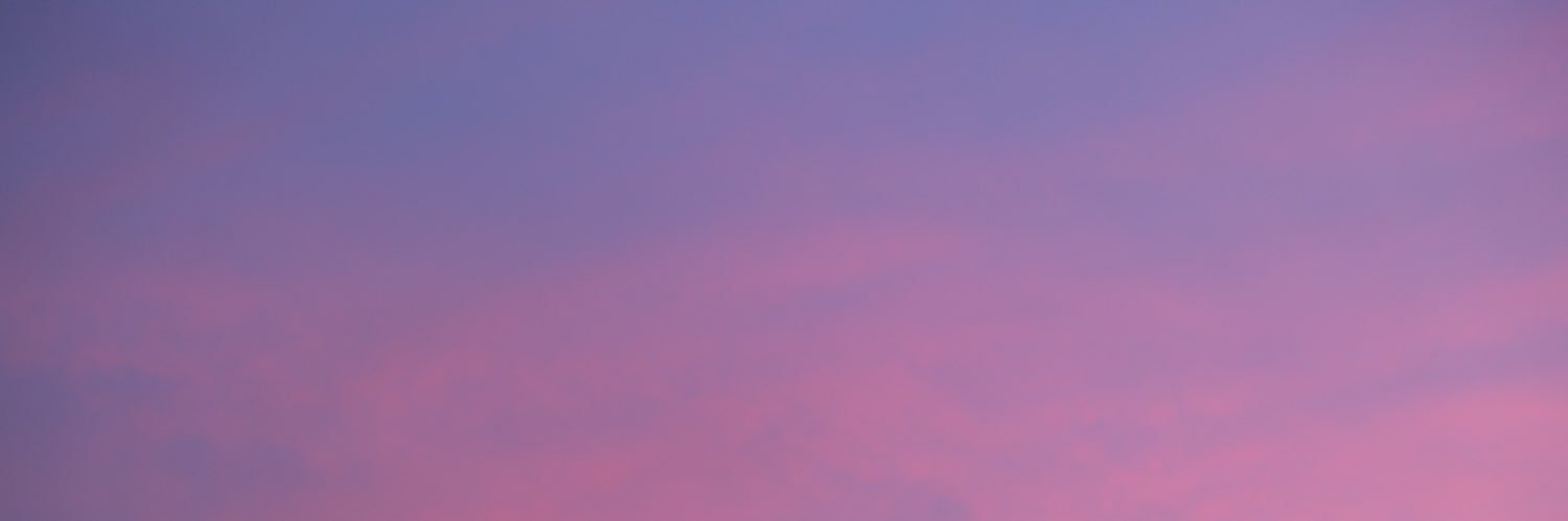 EBAY 🇲🇳🇬🇧 banner
