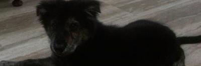 CarolaRubí banner