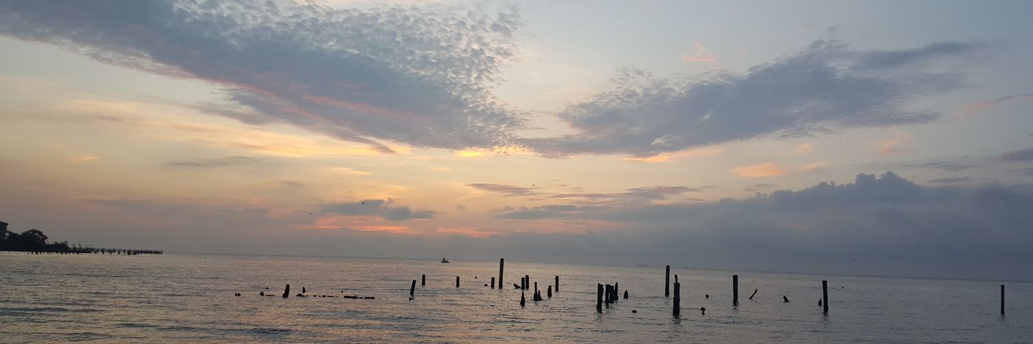 lizzybyrd01's profile banner image