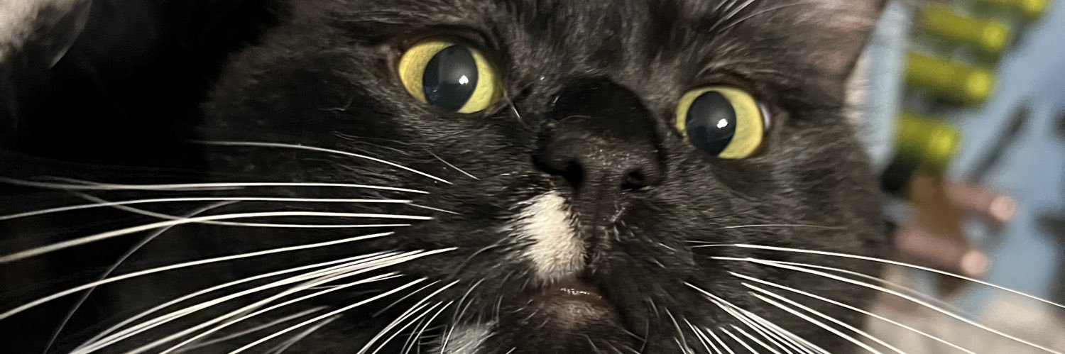 Quack__Dragon's profile banner image