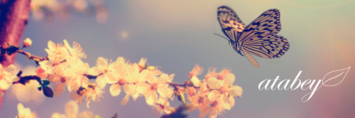 MiAtabey's profile banner image