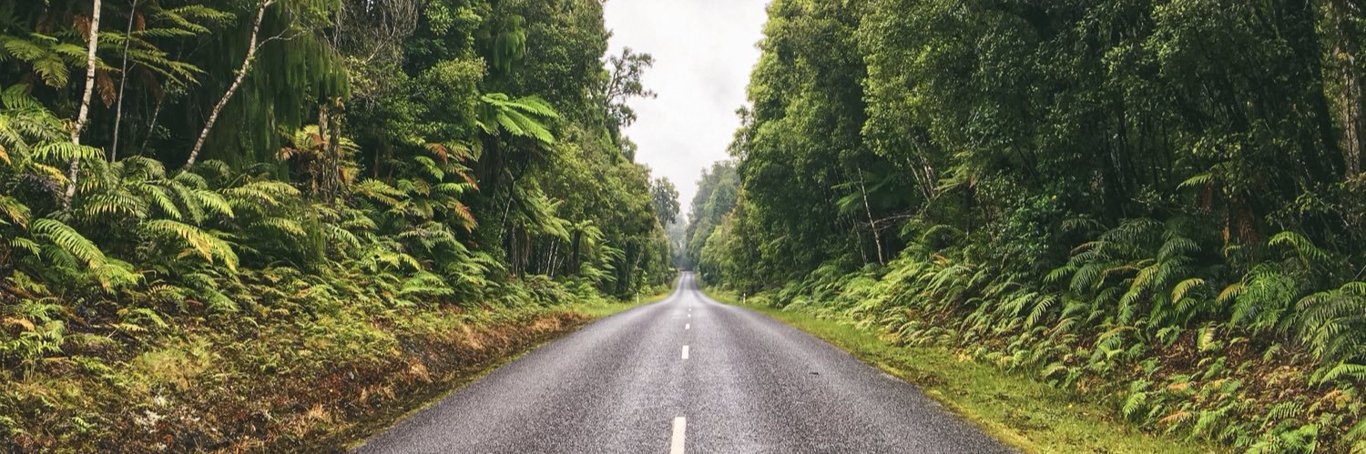 Dr Ash Catton banner