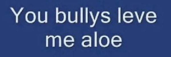 ms4merica Profile Banner