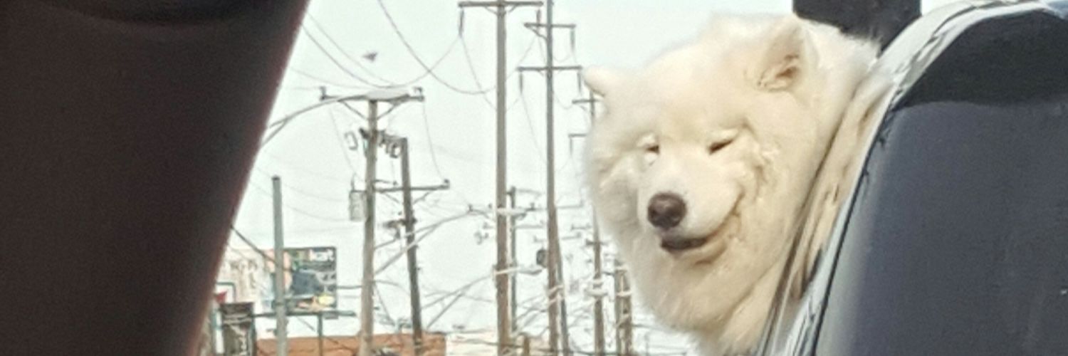 CornWienerDog's profile banner image