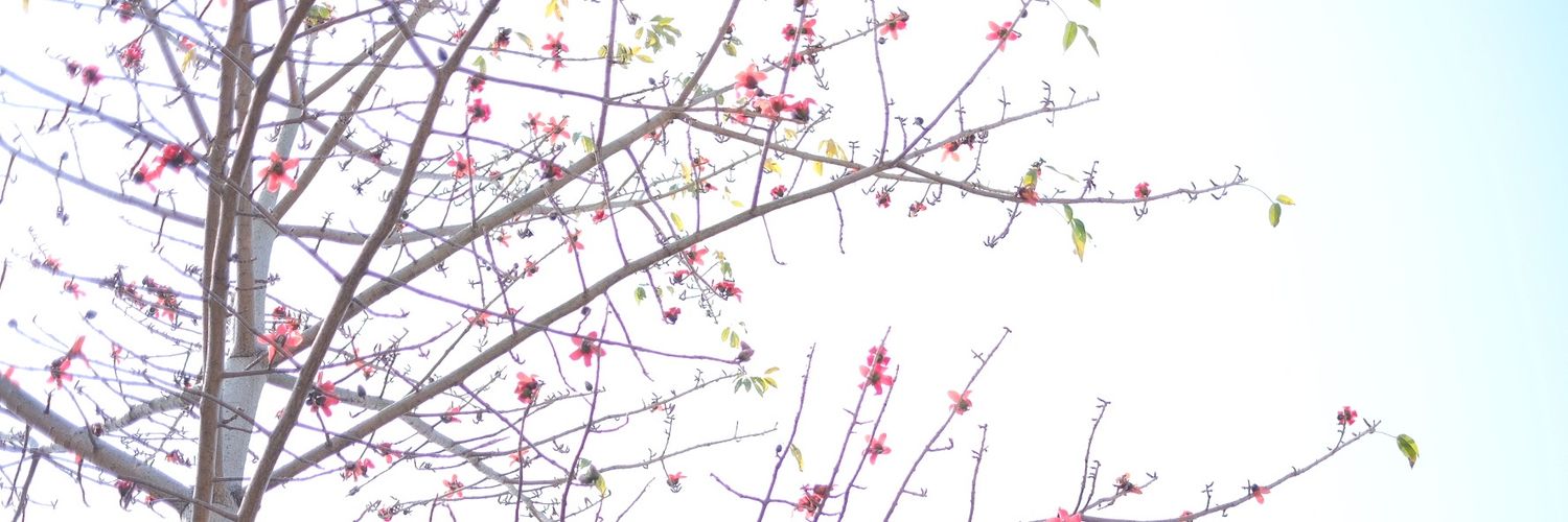 PoMOppa's profile banner image