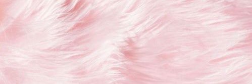 eli02fdzz's profile banner image