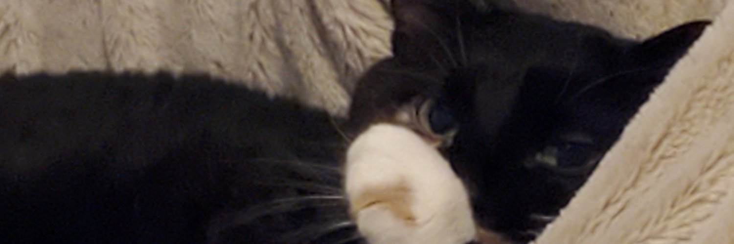 LoneStarCupcake's profile banner image