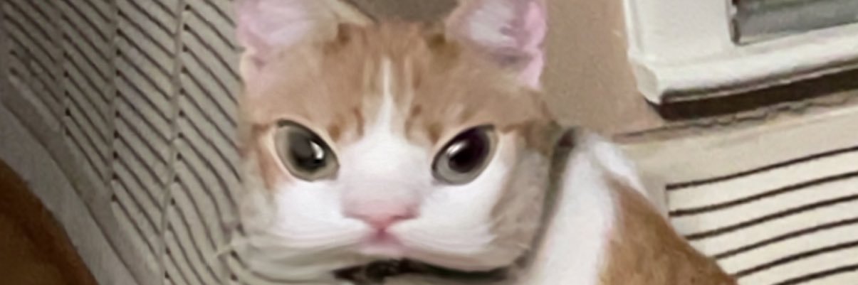 laykoncoker's profile banner image