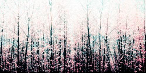 BelieveInJBswag's profile banner image