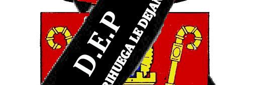 BRIHUEGA FUTBOL SALA banner