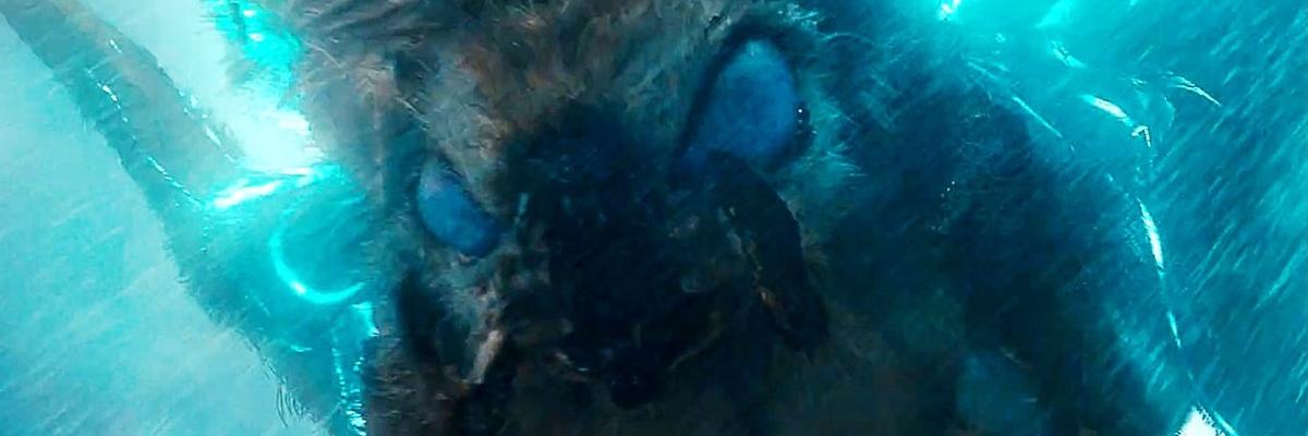 mcolford's profile banner image