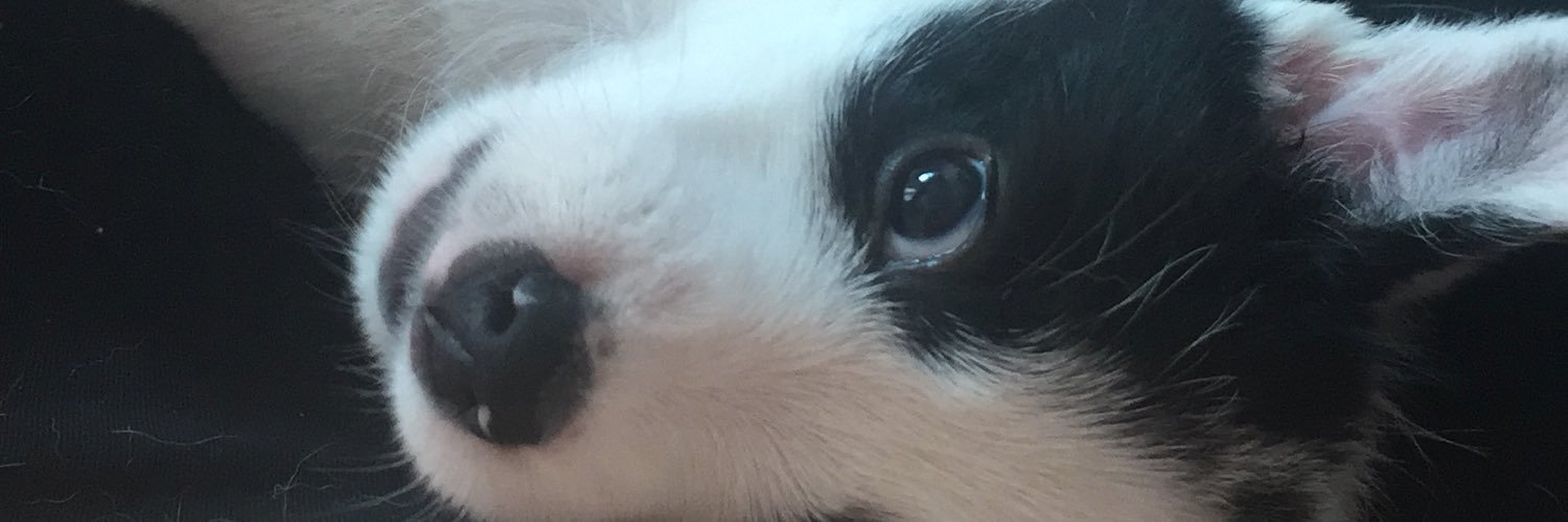 paubossa's profile banner image