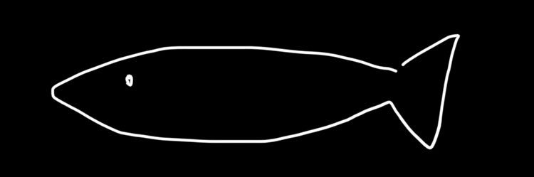 me_meme_'s profile banner image