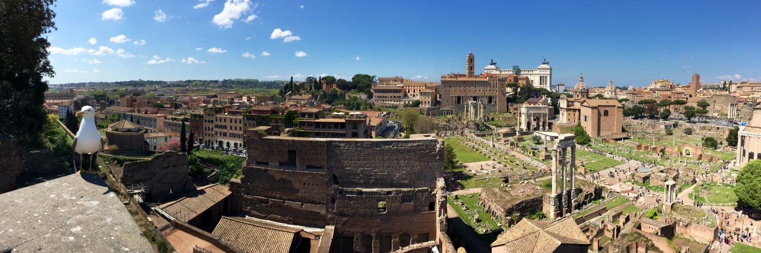 Septimius_Brisc's profile banner image