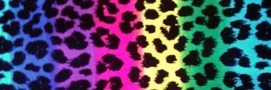 BarbyZulli's profile banner image