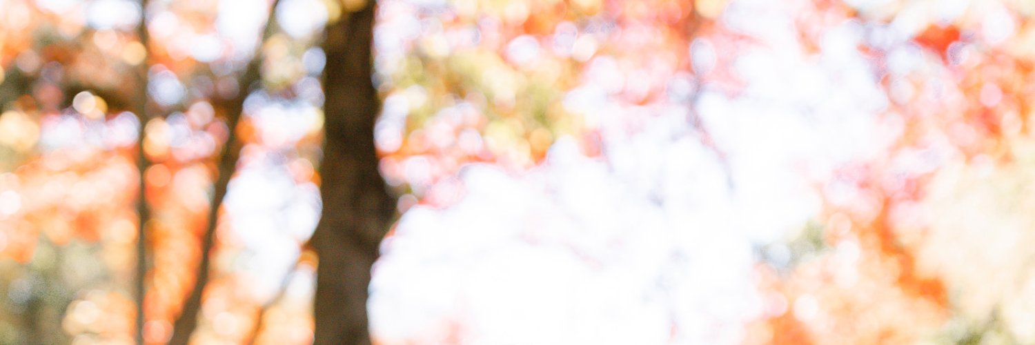 GraceAsenov's profile banner image