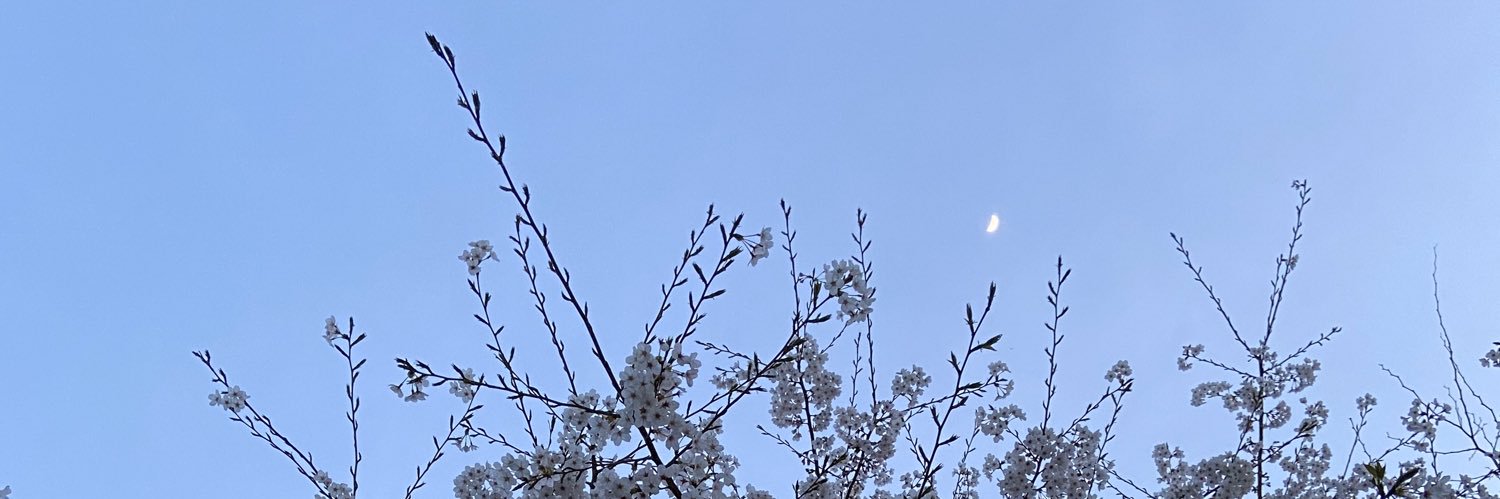 1992__cy's profile banner image