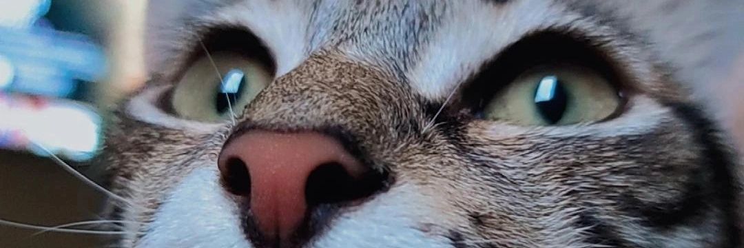 maiconrbo's profile banner image