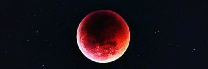 ManuuMiceli1's profile banner image