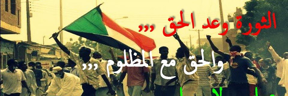 ANA Sudani banner