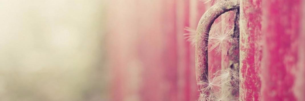 Twitter banner for @stufflush