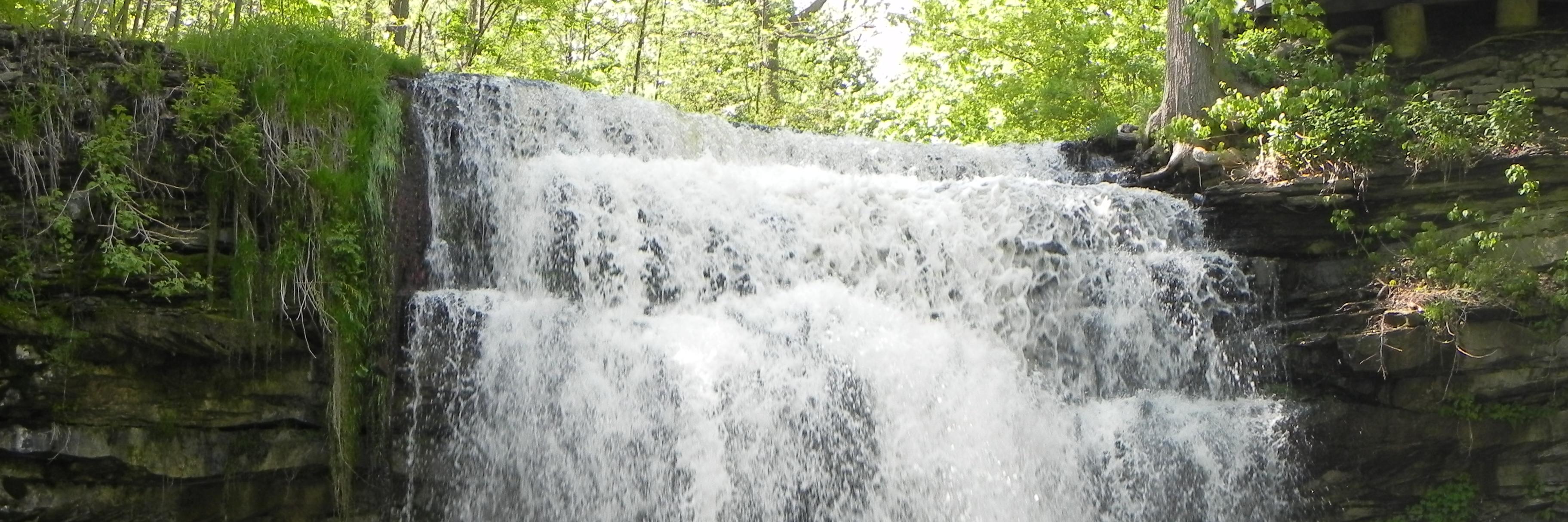 TUstrzycki's profile banner image