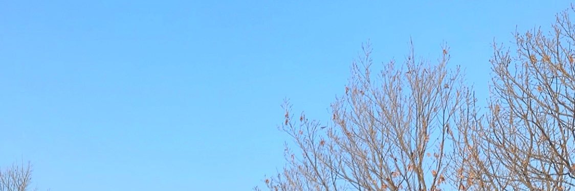 椛 ° banner