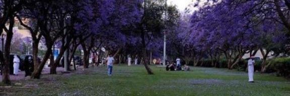almayouf12's profile banner image