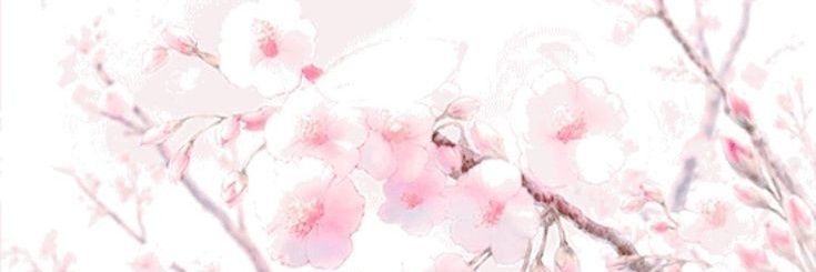 𝐘𝐚𝐞 𝐌𝐢𝐤𝐨. banner