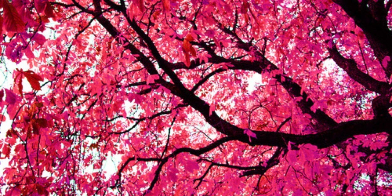 HashtagErin's profile banner image