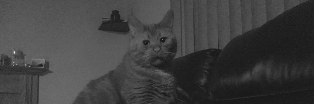 Page19Page's profile banner image