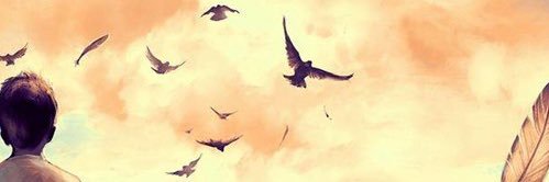 a_a935a's profile banner image