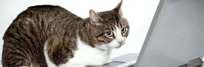 ʇɐɔ ǝʇᴉloԀ-u∩ banner