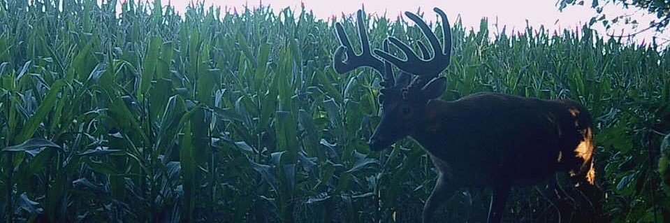 HUNTING4FOOD's profile banner image