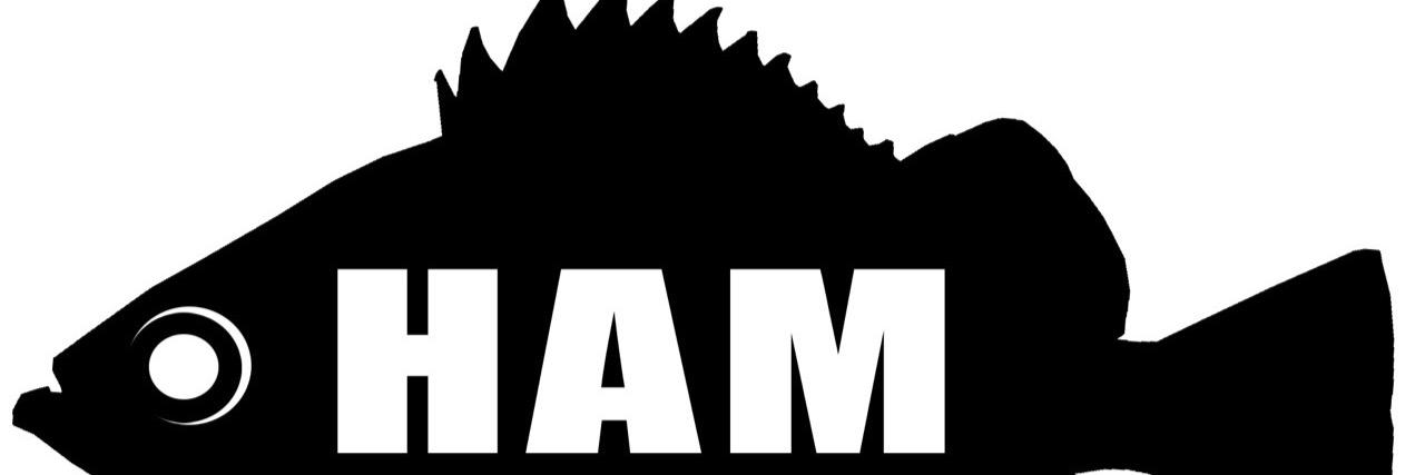 many_fish61's profile banner image