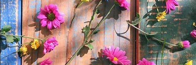sandra banner