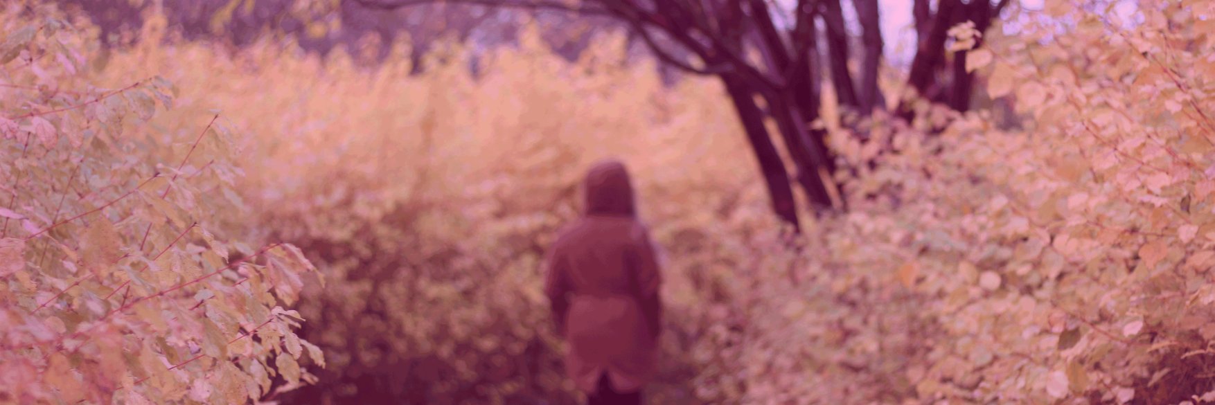 EMBMedia's profile banner image