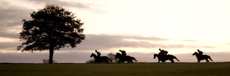 NeardownStables's profile banner image