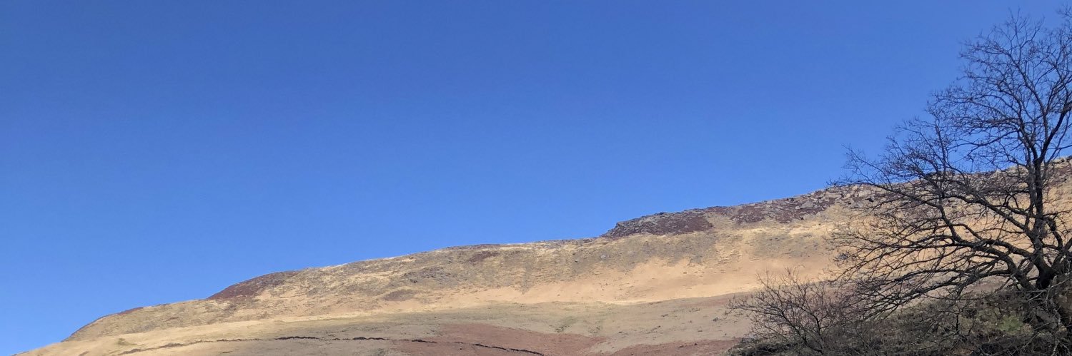 Muizz Mustapha banner