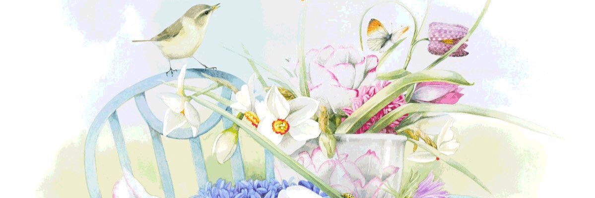 Jane Coleman banner