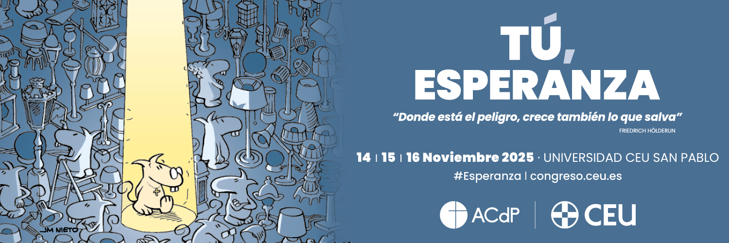 Congreso Católicos y Vida Pública banner