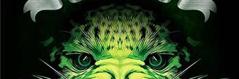 ulkumnakis's profile banner image