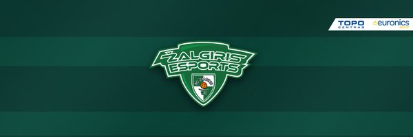 ZalgirisEsports Profile Banner