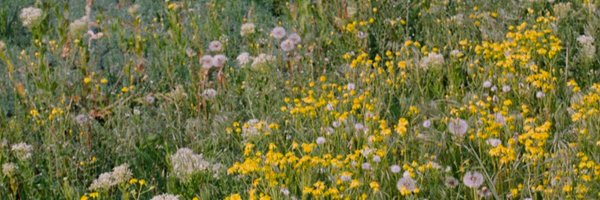 thecommonsearth Profile Banner