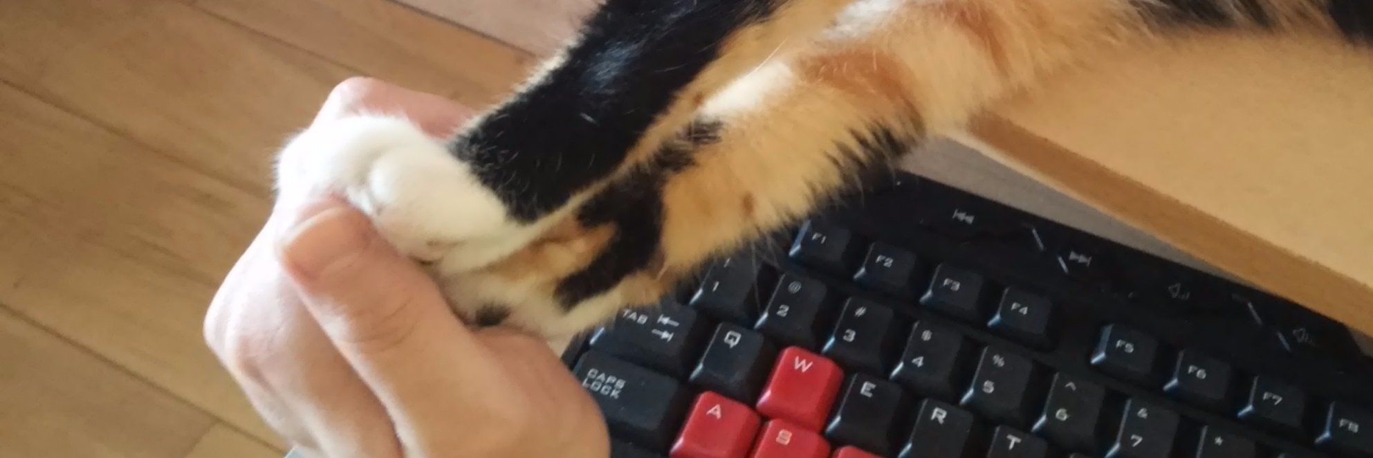 olasia76's profile banner image