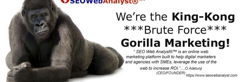 SEO Web Analyst®™. banner