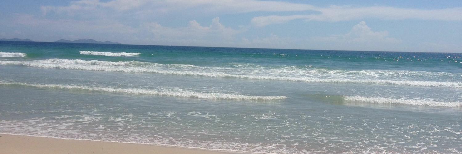 wandyguerrero's profile banner image