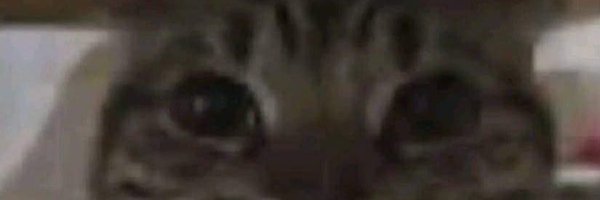 Jeisson_GT_ Profile Banner